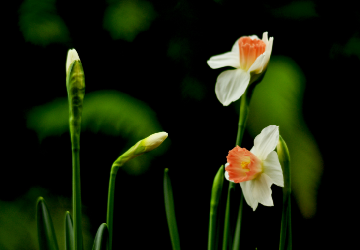 大家都做生態(tài)文明建設(shè)的實踐者、推動者（生態(tài)論苑）