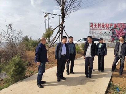 加強互學互鑒 助力鄉村振興