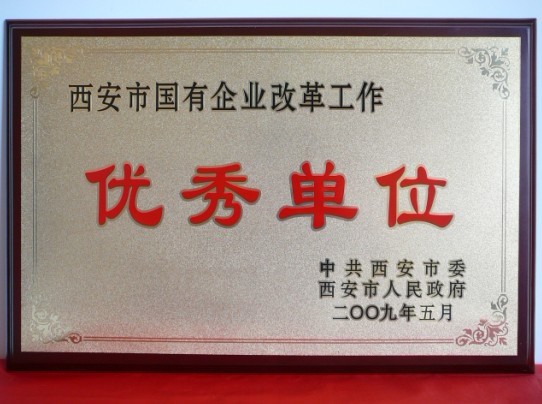 2009年5月，被西安市委、市政府評為西安市國企業(yè)改革工作優(yōu)秀單位