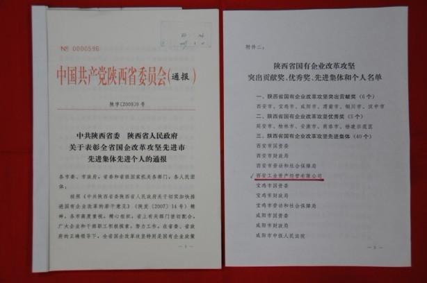 2009年2月，被陜西省委、省政府授予陜西省國有企業(yè)改革攻堅先進(jìn)集體