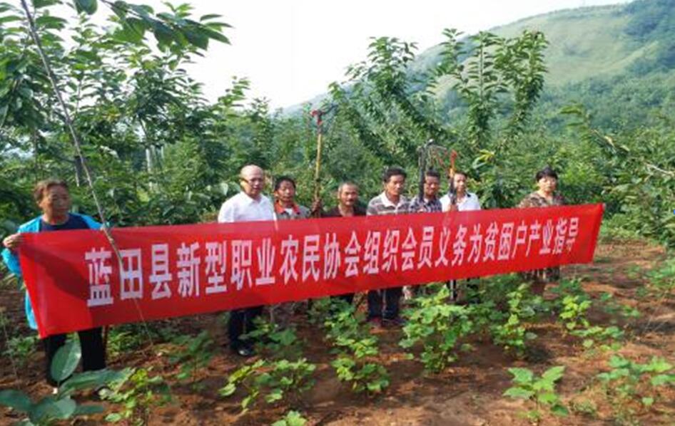 扶貧工作動(dòng)態(tài)（第四十六期）